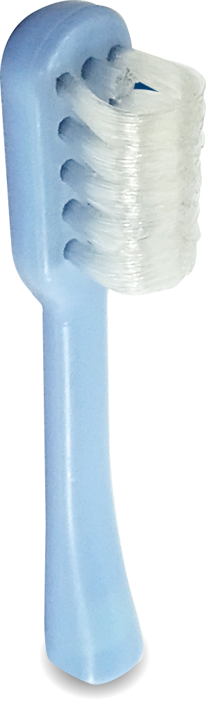 g3118 g3118